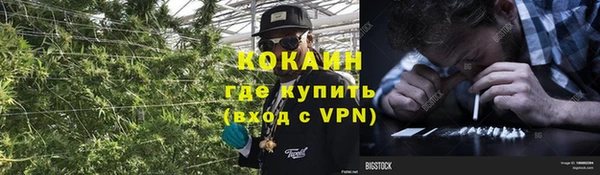 трава Арсеньев