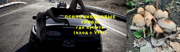 трава Арсеньев