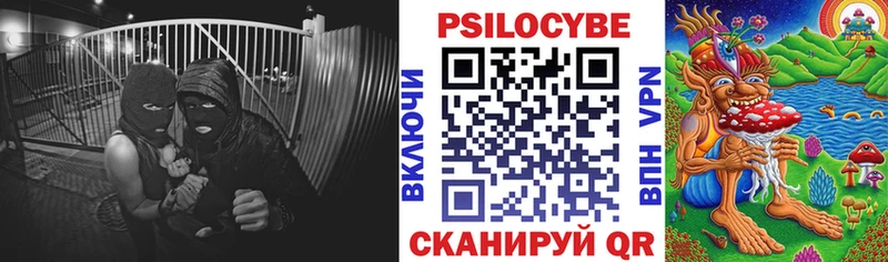 Галлюциногенные грибы мицелий гидра ССЫЛКА Мыски